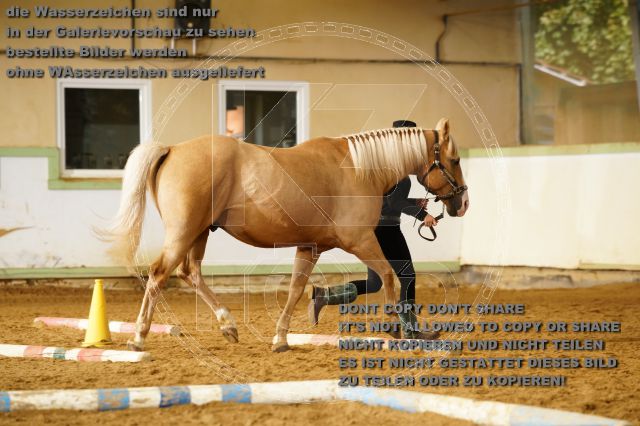 s_K3F08274.JPG